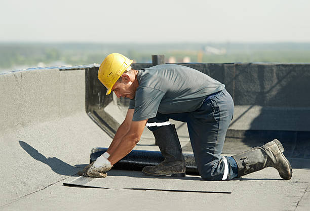 Best Cellulose Insulation in Westmont, NJ